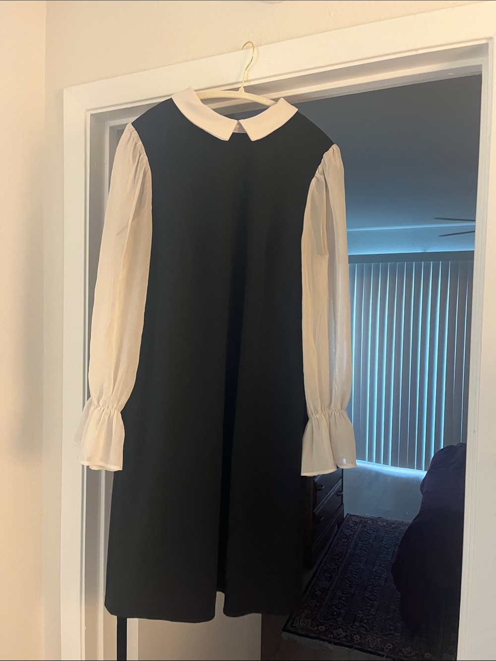 Shelby & Palmer Black Dress with Cream Peter Pan Collar and Sheer Sleeves